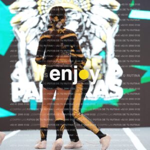 Pnl0322