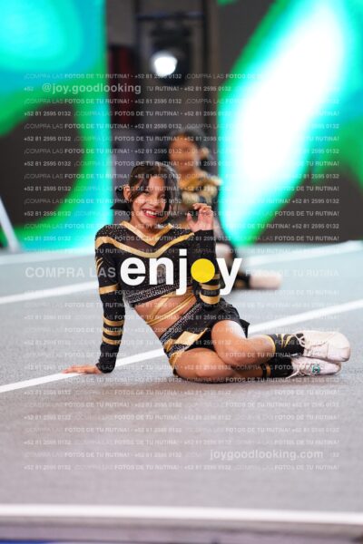 Pnl0336