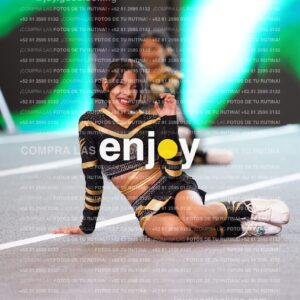Pnl0336