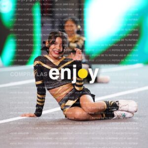 Pnl0337