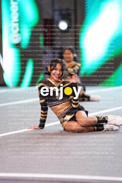 Pnl0338