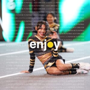 Pnl0338