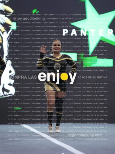 Pnl0342