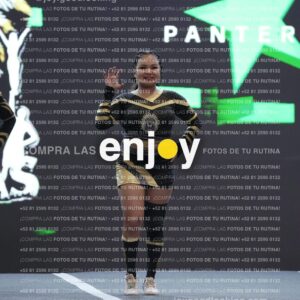 Pnl0342