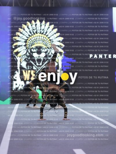 Pnl0344