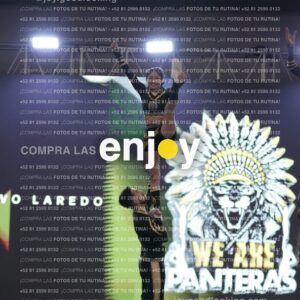 Pnl0352