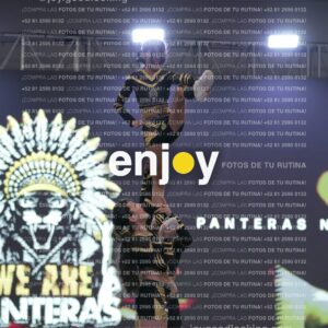 Pnl0353