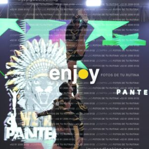 Pnl0419