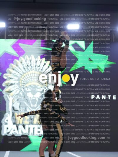 Pnl0420