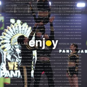 Pnt0307