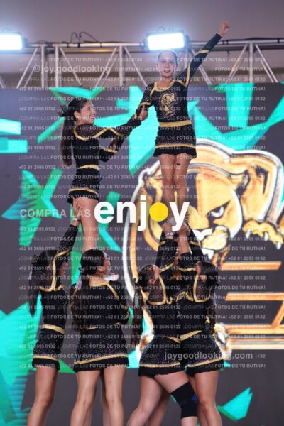 Pp20337