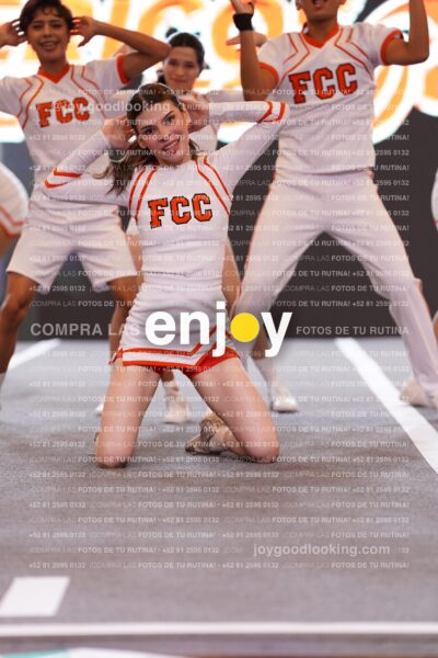 Psc0308