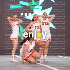 Psf0241