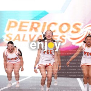 Psf0266