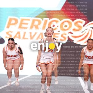 Psf0267