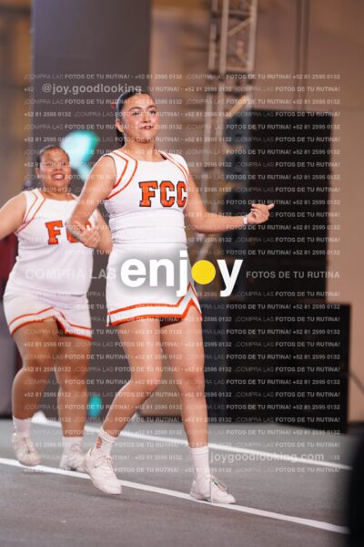 Psf0319