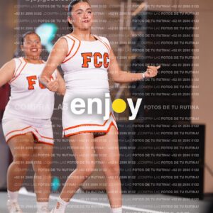 Psf0319