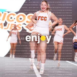 Psf0323