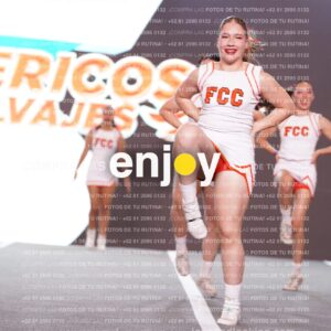 Psf0324