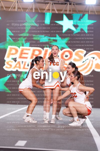 Psf0335