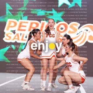 Psf0335