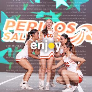 Psf0336