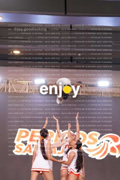Psf0348