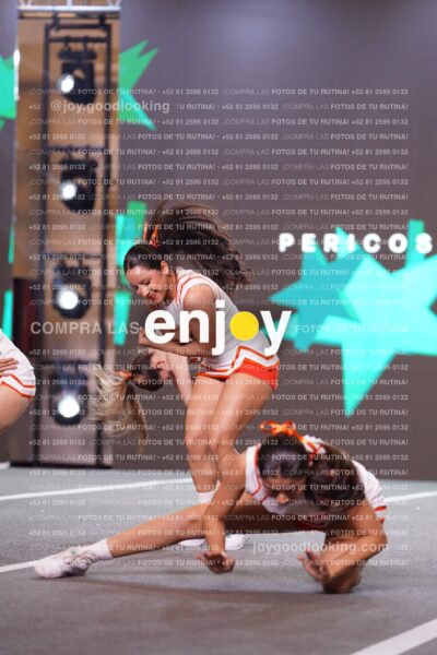 Psf0439
