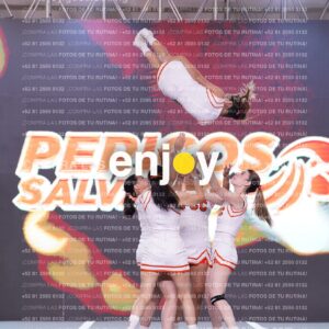 Pss0280