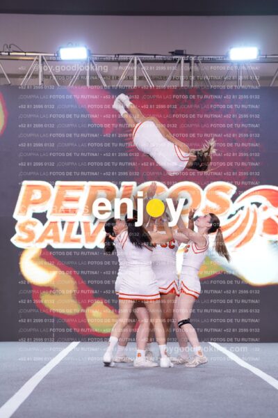 Pss0280