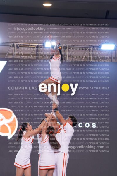Pss0301