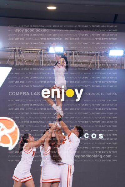 Pss0302