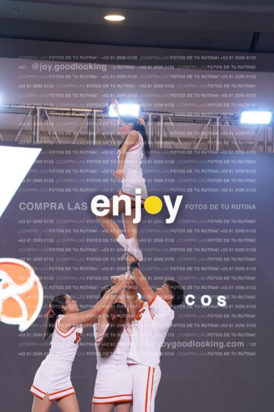 Pss0303
