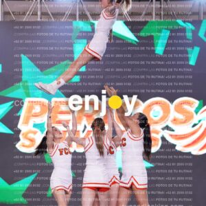 Pss0316