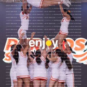 Pss0335