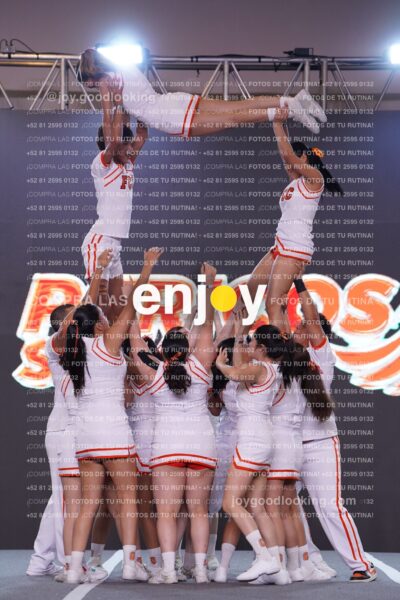 Pss0335