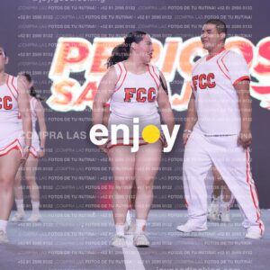 Pss0419