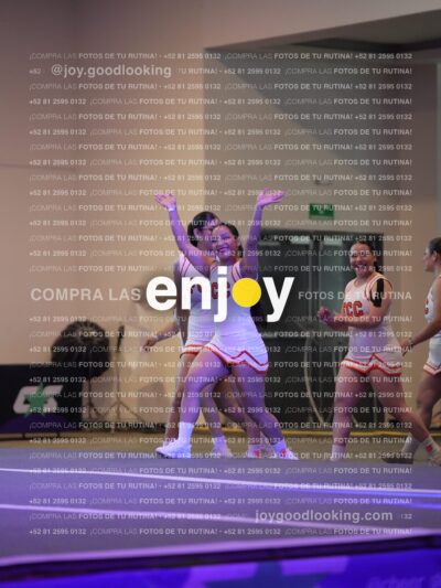 Psv0206