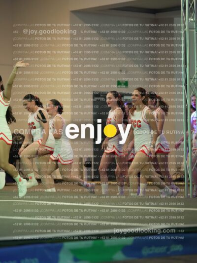 Psv0208