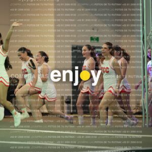 Psv0208