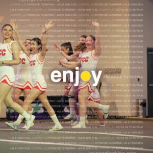 Psv0211