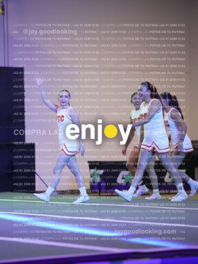 Psv0214