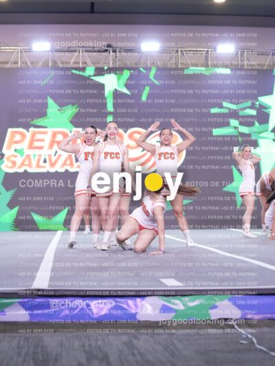 Psv0228