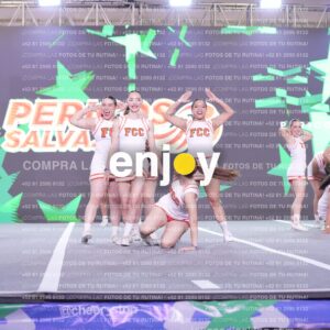 Psv0228