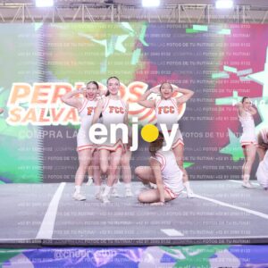 Psv0229