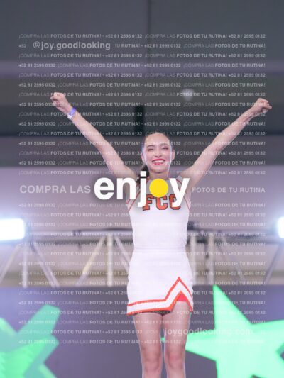 Psv0238