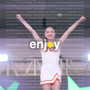 Psv0238