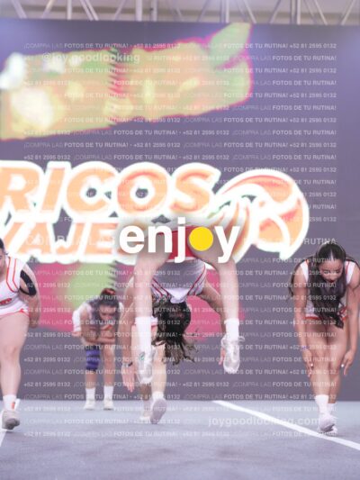 Psv0250