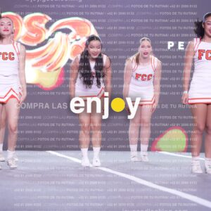 Psv0253