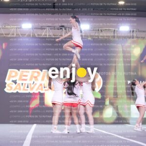 Psv0269